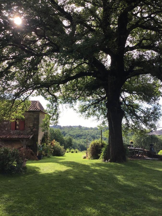 Les Temps Des Sources Lägenhet Veyrines-de-Domme Exteriör bild
